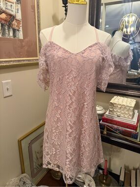 Blue Rain Blush Pink Lace Slip Dress